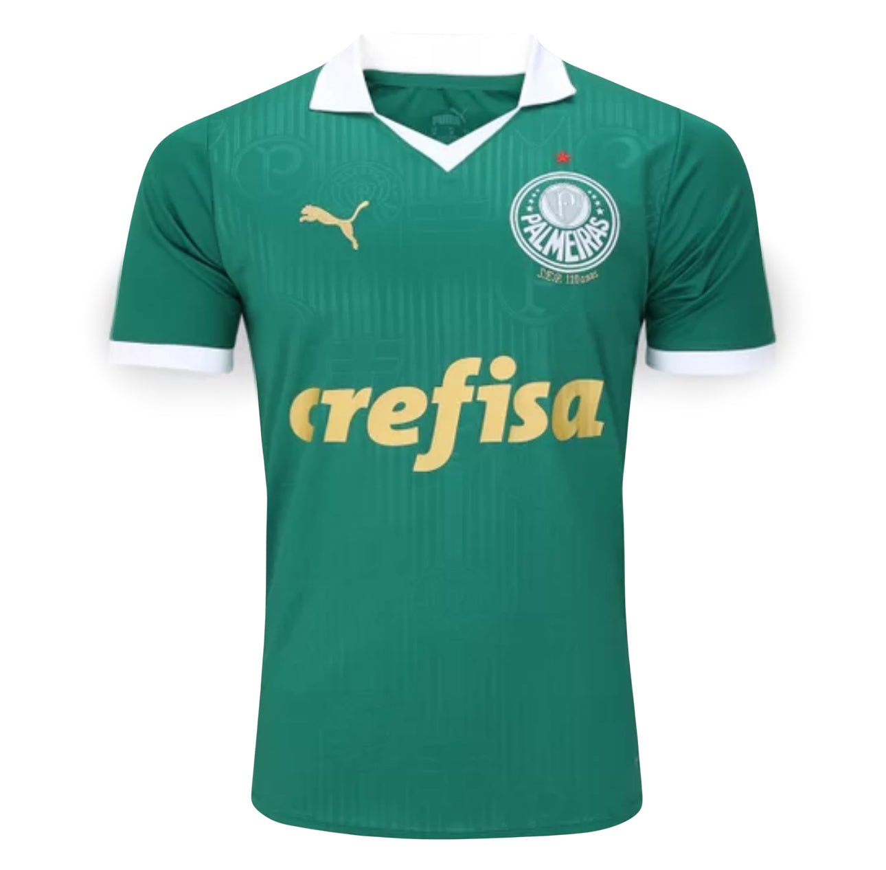 Palmeiras 24/25 Home Jersey
