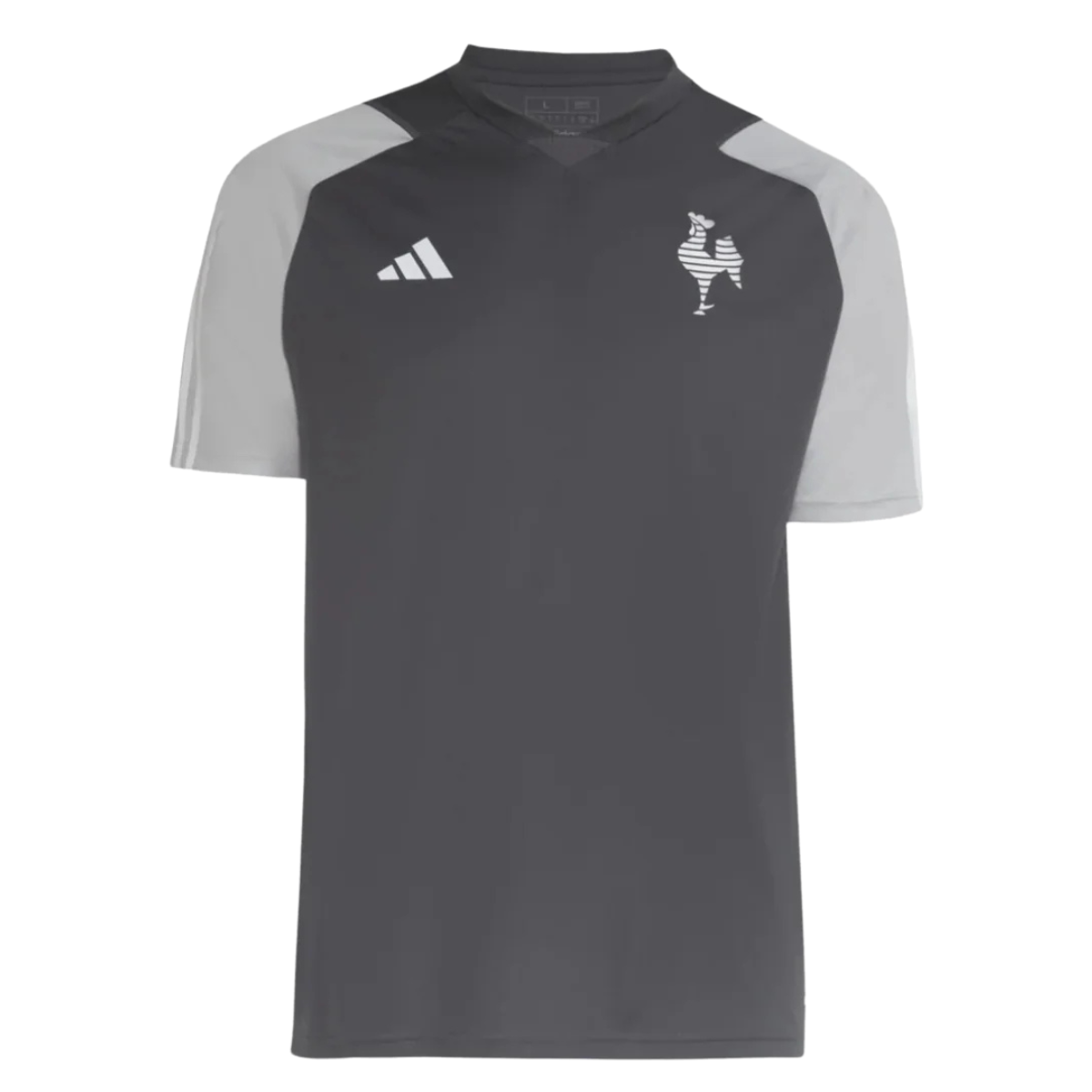 ATLÉTICO MINEIRO 2024 TRAINING