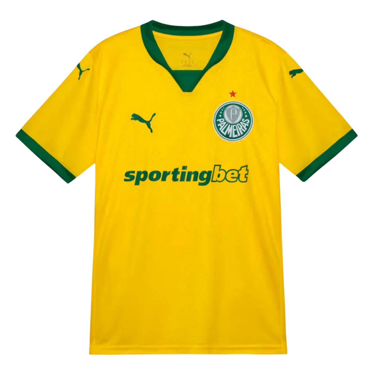 PALMEIRAS 25/26 THIRD JERSEY