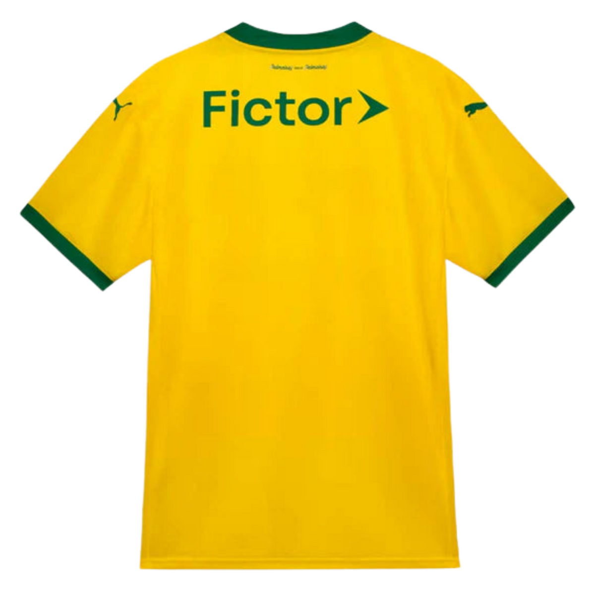 PALMEIRAS 25/26 THIRD JERSEY